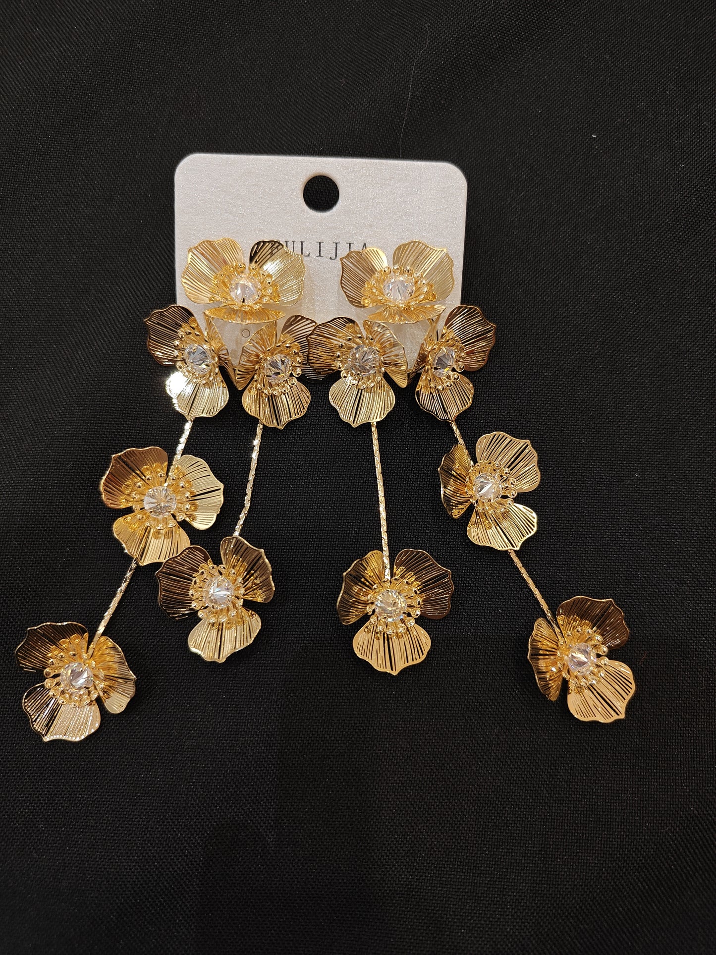 Western Earrings