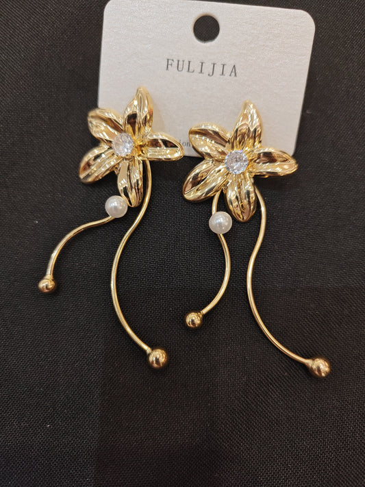 Western Earrings