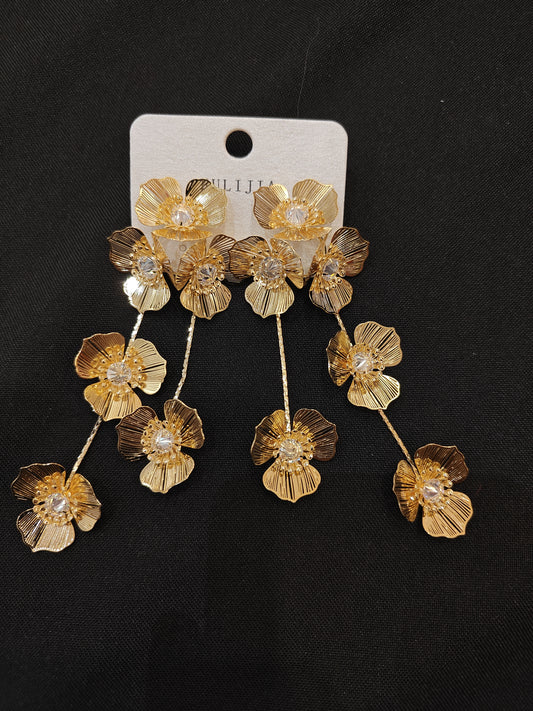 Western Earrings
